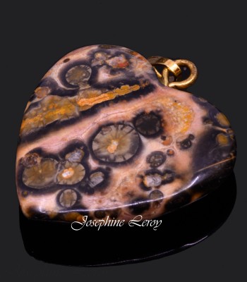 Picture Jasper Herz